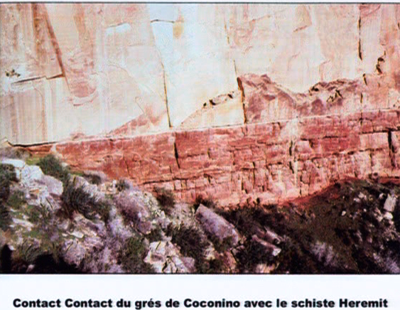 Coconino-Heremit.png, 519 KB