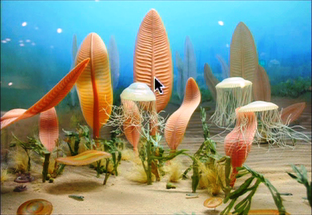 Ediacara.png, 547 KB